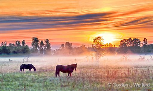 Two Horses In Misty Sunrise_P1130907-9.jpg - Photographed near Jasper, Ontario, Canada.